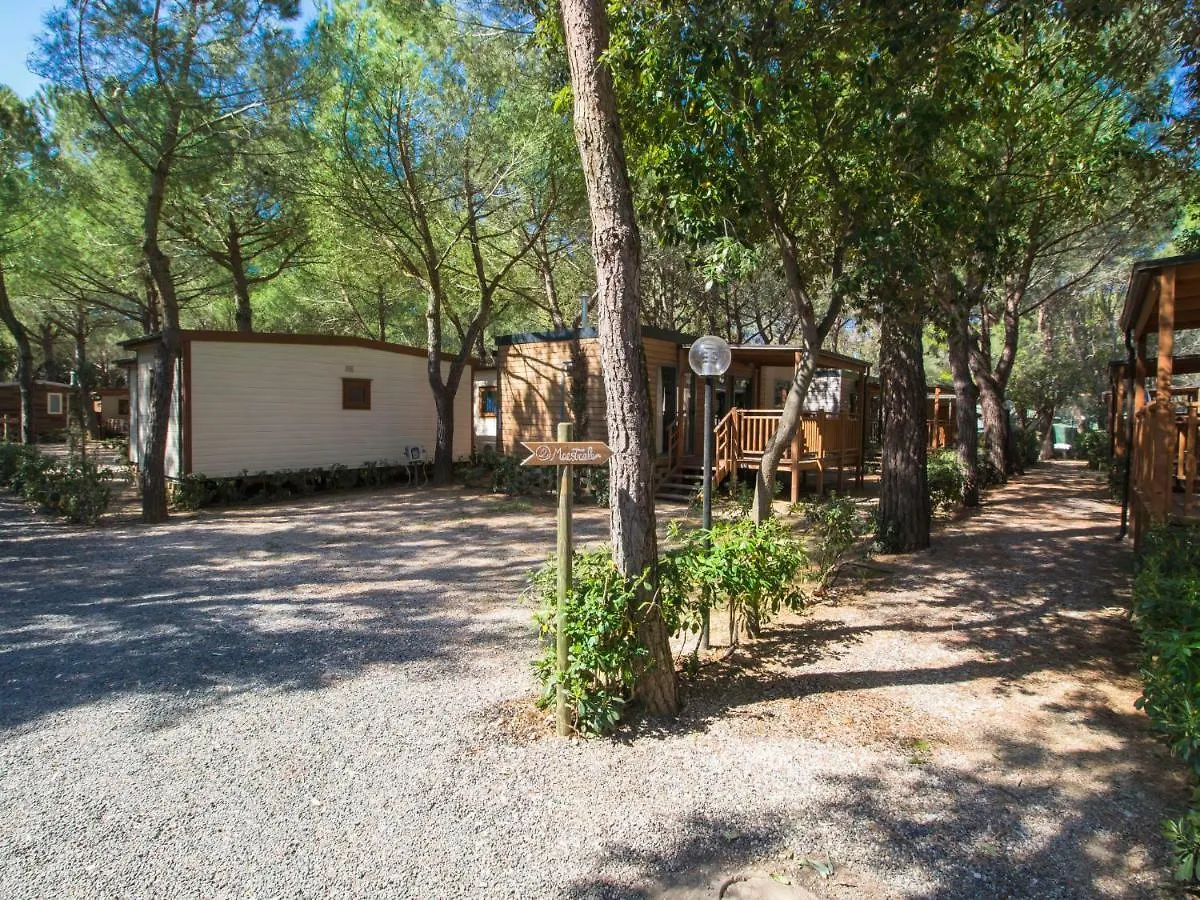 Holiday Home Gineprino-9 By Interhome Marina Di Bibbona Italy